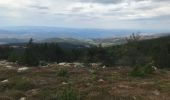 Tour Wandern Mont Lozère et Goulet - Stevenson étape Le Bleymard -Le Pont de Monvert - Photo 9