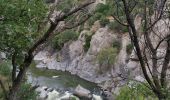 Tour Wandern Rodès - Rodes, Gorges de la Guillera  - Photo 16