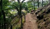 Trail On foot Beverungen - Rundweg Weser-Skywalk - Photo 4