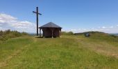 Trail Walking Dossenheim-sur-Zinsel - Le Bastberg depuis Dossenheim-sur-Zinsel - Photo 20