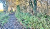 Tour Wandern Hannut - La Balade des Chevées - Photo 8
