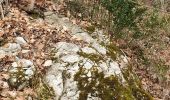 Trail Walking Lavelanet - Smart'Flore - Balade découverte de l'A.N.A. , flore de Ste Rufine - Photo 13