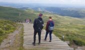 Randonnée Marche Albepierre-Bredons - Le Plomb du Cantal - Photo 13