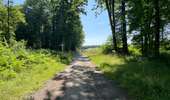 Randonnée Marche Rethondes - en Forêt de Laigue, 04_07_2025_sur les Routes du Grand Octogone, du Plessis-Brion, de Sainte-Croix, du Petit Octogone et de la Belle Assise - Photo 11