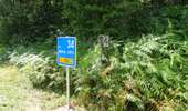 Excursión A pie Bastoña - Promenade du chemin des Pèlerins - Photo 2