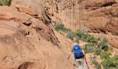 Excursión Senderismo Unknown - 2024 Arches NP Devil's garden - Photo 11