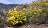 Trail Walking Mandelieu-la-Napoule - T-Grand Duc - Photo 7