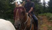Trail Horseback riding Turquestein-Blancrupt - tipis col de lengin cimetiere militaire main de fer croix simon - Photo 3