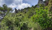 Trail Walking La Roquebrussanne - la loube la cheminée  - Photo 3