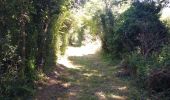 Trail Walking Dirinon - Kerouant - Photo 4