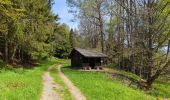 Randonnée Marche Le Hohwald - Hohwald - Rothlach - Neuntelstein - Photo 9