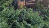 Randonnée Marche Bédoin - melettes pins noirs bergerie et jas de roussas ermitants chalet reynard  et caucadis bergerie pontes - Photo 10