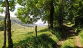 Percorso Marcia Lavigerie - Cantal - La Gravière - La Vallée de l'Impradine - 6km 170m 2h20 - 2019 07 03 - Photo 3