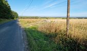 Tour Wandern Saint-Laurent-en-Gâtines - Saint-Laurent-en-Gatines - Photo 19