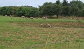 Tour Wandern Wissant - PAS DE CALAIS: WISSANT - CAP GRIS NEZ - Photo 3
