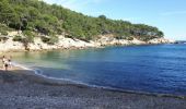 Tocht Stappen Saint-Cyr-sur-Mer - St Cyr sentier du littoral  - Photo 11