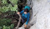 Tour Wandern Gémenos - le baou de Bertagne au départ du col de l'Espigoulier  - Photo 19