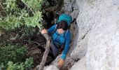 Excursión Senderismo Gémenos - le baou de Bertagne au départ du col de l'Espigoulier  - Photo 19