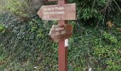 Trail Walking Aspremont -  le tour du Mont Chauve d'Aspremont - Photo 2