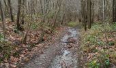 Trail Walking Wanze - Antheit 070125 - Photo 8