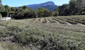 Trail Walking Saint-Marc-Jaumegarde - Le tour du barrage : vérifications - Photo 3