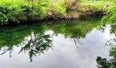 Tocht Stappen Sainte-Anastasie-sur-Issole - SityTrail - 83 St Quinis grotte  chapelle  - Photo 13