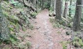 Trail Walking Bœrsch - boucle klingentgahl-heidenkopf-jardin de merlin - Photo 4