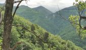 Randonnée Marche Saou - Forêt de Saou  - Photo 16