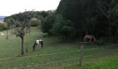 Tocht Stappen Remiremont - promenade forêt - Photo 1