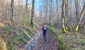 Trail Walking Candé-sur-Beuvron - cande sur beuvron - Photo 6