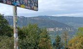 Trail Electric bike Doussard - col de Forclas tour du lac d Annecy  - Photo 8