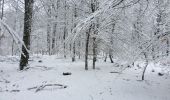 Tour Wandern Libramont-Chevigny - 71.909 Libramont - Bernihé et Chapellew - Photo 11