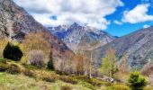 Tocht Stappen Lavaldens - Lac de Rif Bruyant Via Le Mollard - Photo 11