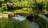 Excursión Senderismo Termes - Termes ( Aude )  + les gorges de Terminet +le Nitable roc - Photo 4