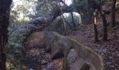 Trail Trail Belgentier - Les aiguilles de Valberg et une arche - Photo 5