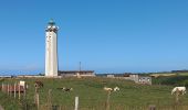 Tour Wandern Étretat - Etretat Antifer - Photo 2