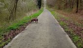 Trail Walking Antoing - televie personne  - Photo 2