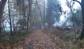 Randonnée Marche Stoumont - 10km sous la pluie autour de Lorcé - Photo 13