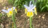 Tour Nordic Walking Salins - 1 et Mai ballade autour de Salins  - Photo 2