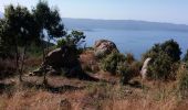 Trail Walking Ajaccio - sentier des crêtes ajaccio - Photo 1