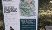 Trail Walking Le Haut-Bréda - moretan par la bourgeat blanche - Photo 9