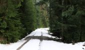 Percorso A piedi Baiersbronn - Schwarzenberg-Ruhestein - Photo 2