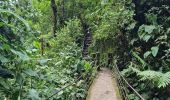 Tour Wandern Mindo - Cascadas de Tarabita - Photo 12