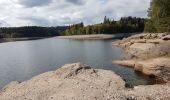 Trail Walking Badonviller - Tour du lac de Pierre-Percée depuis les cabanes du lac - Photo 14