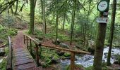 Trail Walking Vecoux - 07-06-21 Reherrey- chalet des meules- col de xiard- chalet de l'avuxon- source chaude - Photo 15