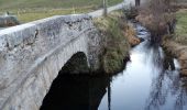 Randonnée Marche Autrans-Méaudre en Vercors - Chemin court des Lauzets - Photo 11