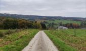 Trail Walking Tenneville - Boucle agricole - Le circuit de la ferme des Frênes  - Photo 16