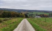 Excursión Senderismo Tenneville - Boucle agricole - Le circuit de la ferme des Frênes  - Photo 16