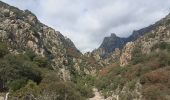 Excursión Senderismo Saint-Martin-de-l'Arçon - ballade au Caroux, le long de l'orbe et dans les hameaux du piémont.  - Photo 9