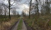 Trail Walking Stekene - Stekene 24 km - Photo 5